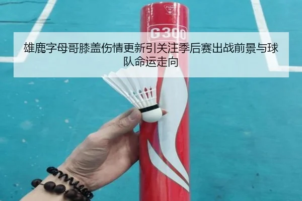 雄鹿字母哥膝盖伤情更新引关注季后赛出战前景与球队命运走向
